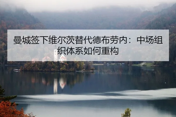 man-cheng-qian-xia-wei-er-ci-ti-dai-de-bu-lao-nei-zhong-chang-zu-zhi-ti-xi-ru-he-zhong-gou-2-808.jpg