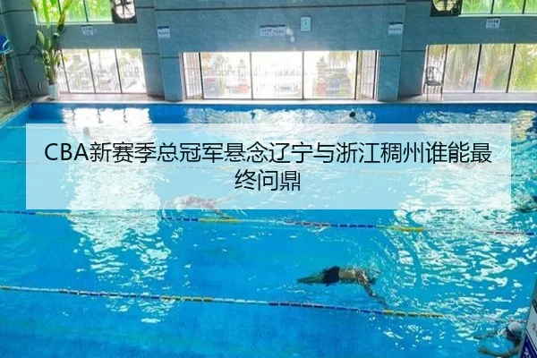 CBA新赛季总冠军悬念辽宁与浙江稠州谁能最终问鼎