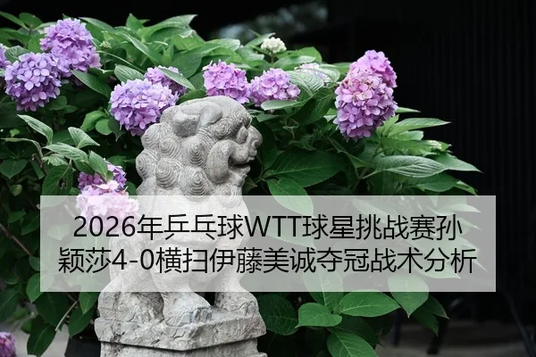 2026年乒乓球WTT球星挑战赛孙颖莎4-0横扫伊藤美诚夺冠战术分析